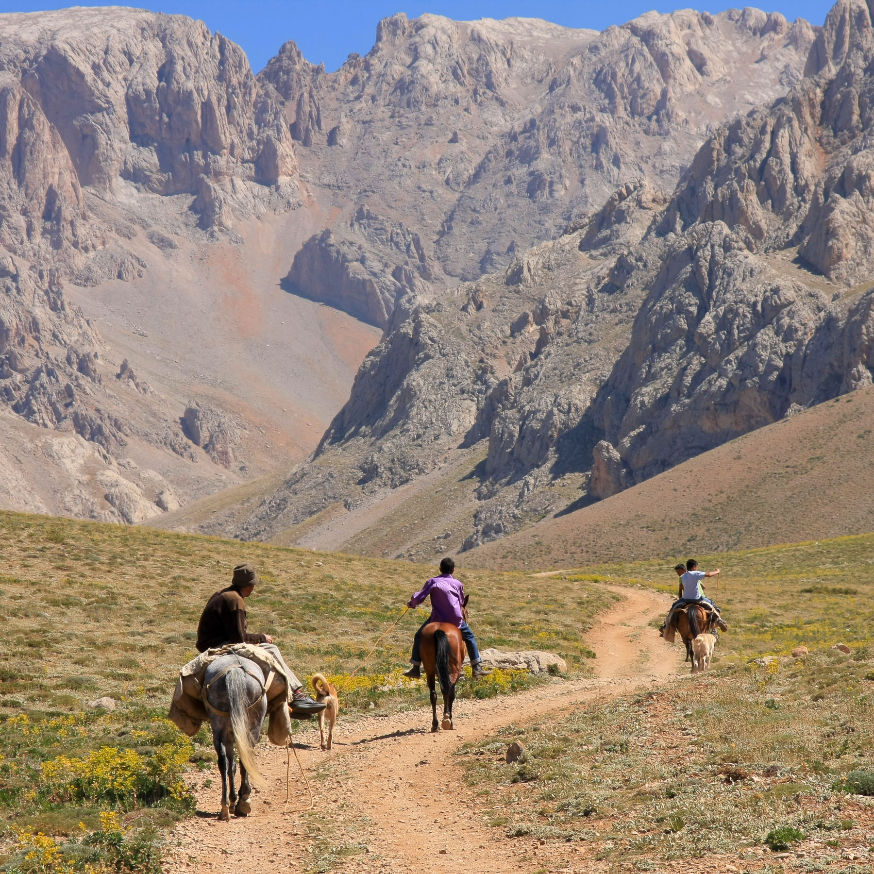 Anatolian Highlands-01