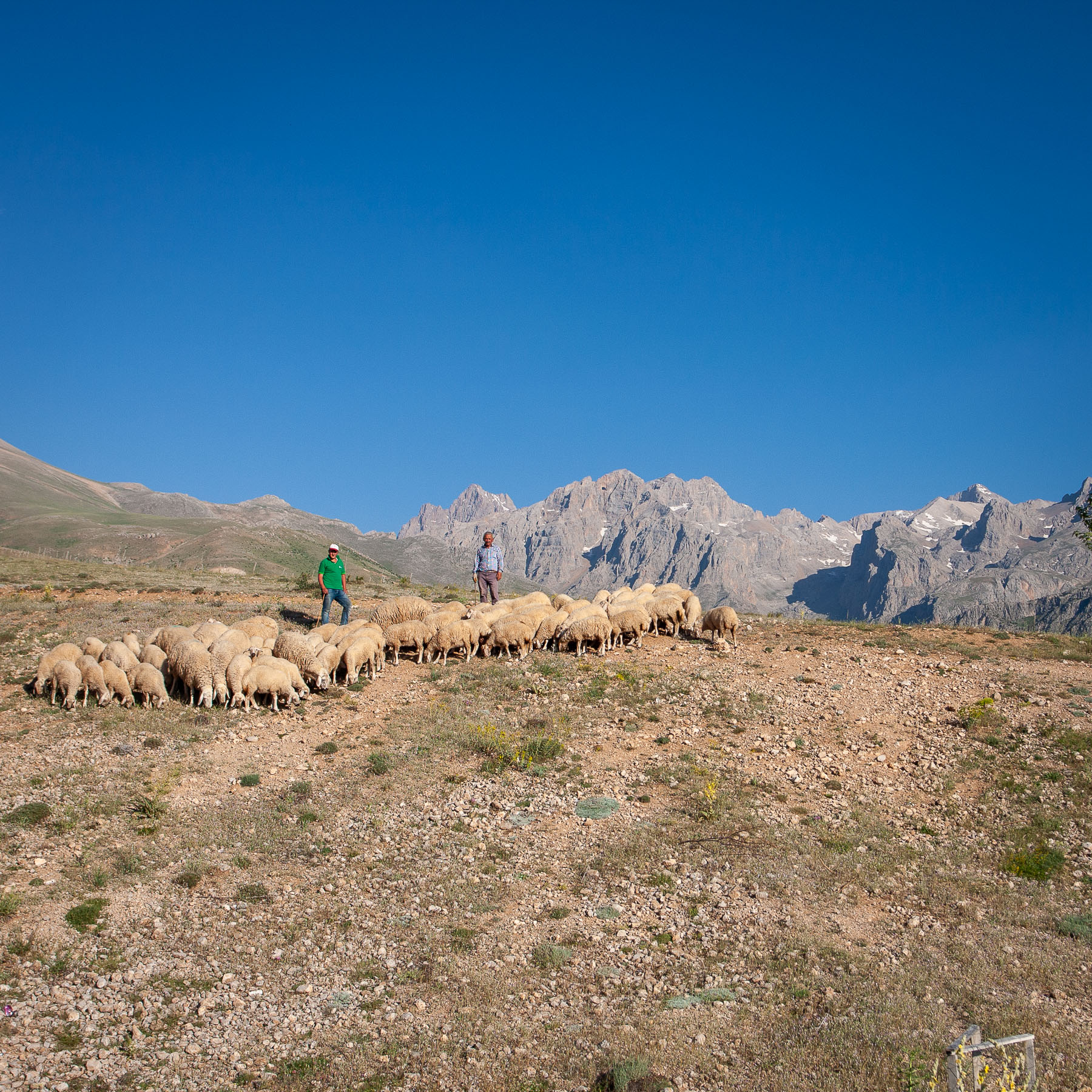 Anatolian Highlands-09