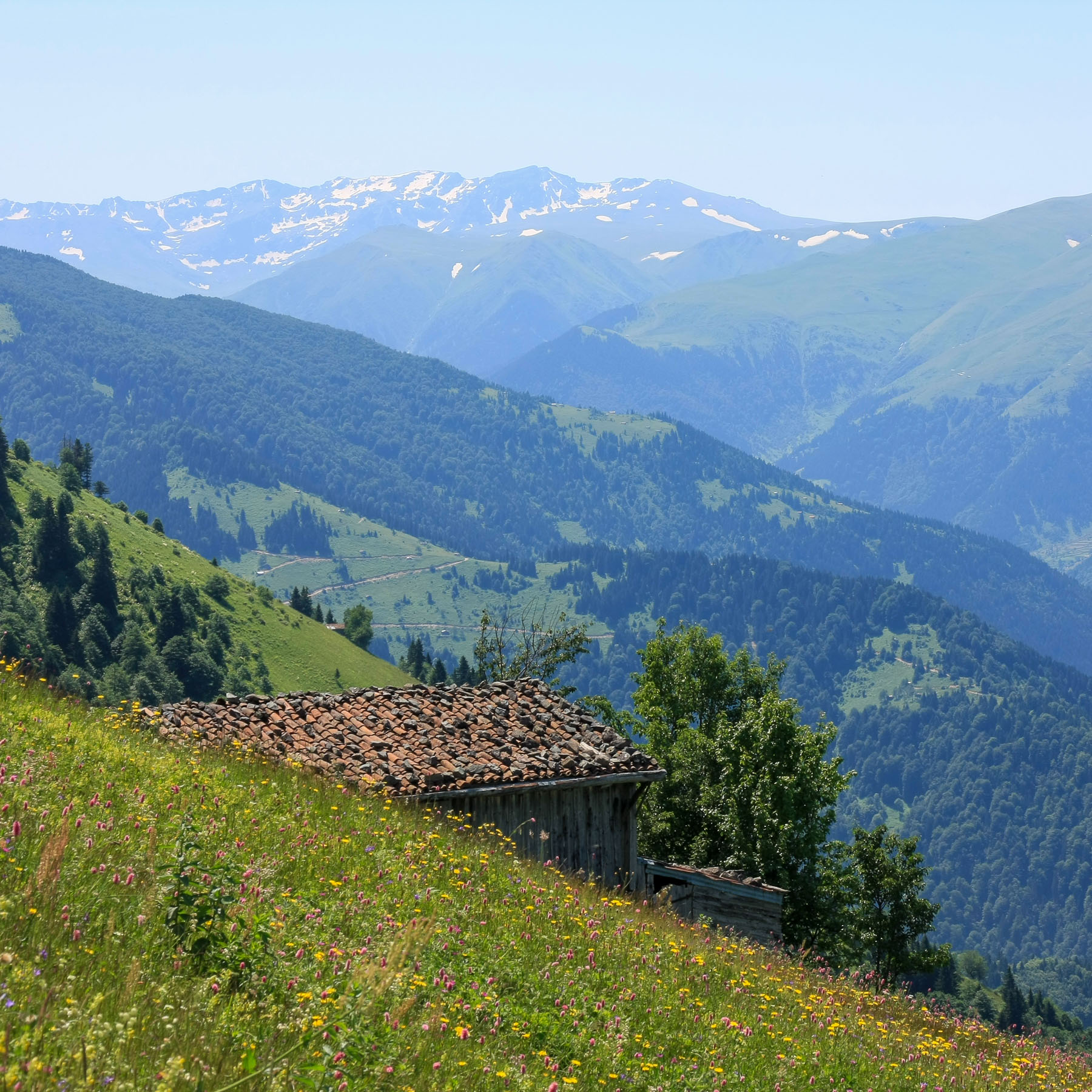 Kaçkar Mountains Mobile14