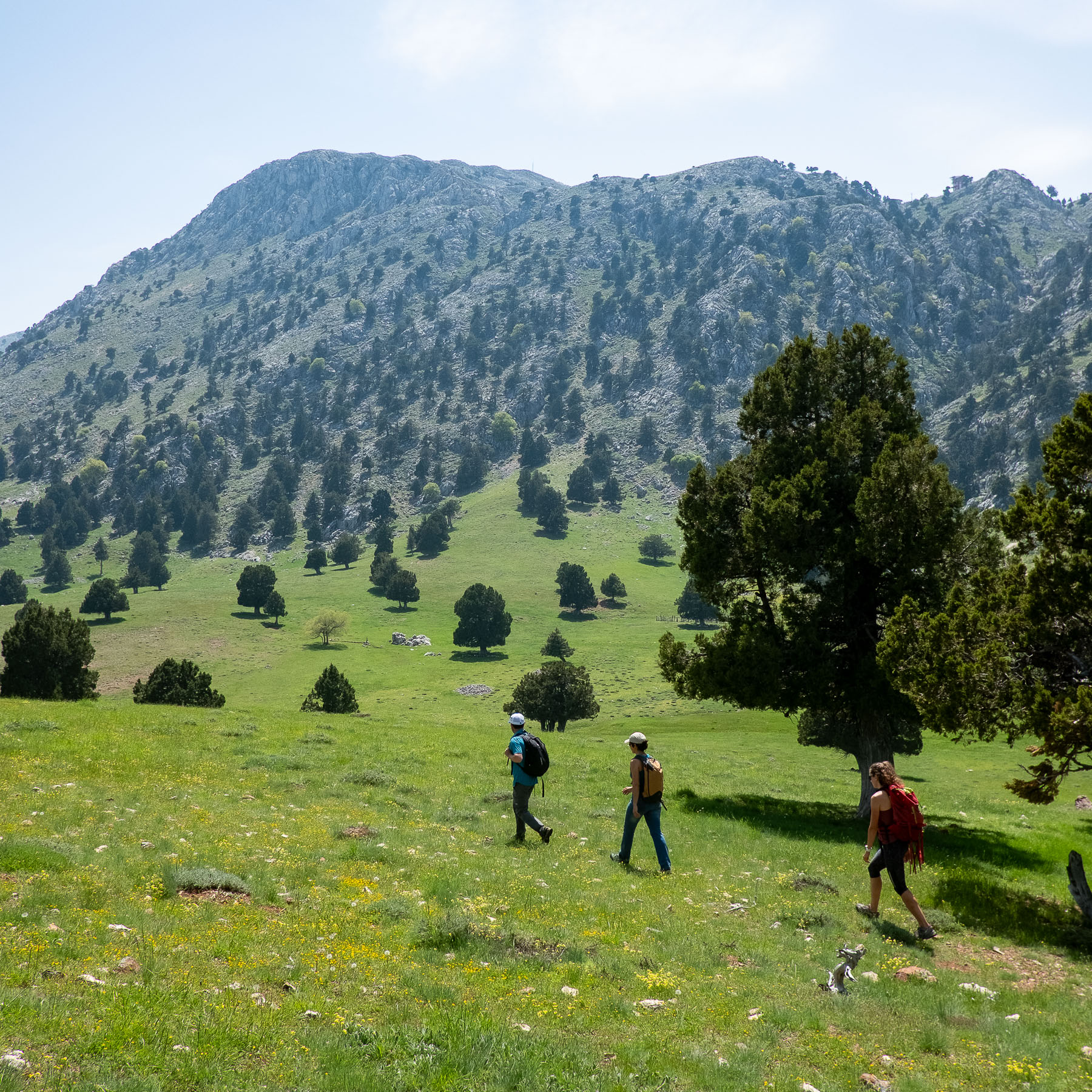 Turquoise Coast - Cover-06